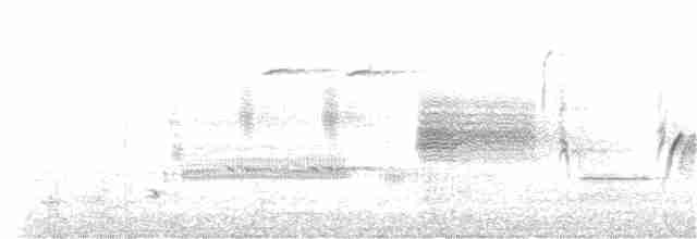 Al Kanatlı Karatavuk [phoeniceus grubu] - ML191029531