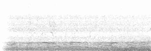 jeřáb kanadský (ssp. tabida/rowani) - ML191034351