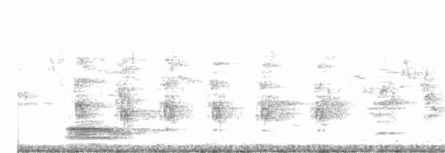 Ошейниковый зимородок - ML191037341
