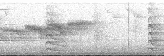 Дятел-смоктун жовточеревий - ML191043