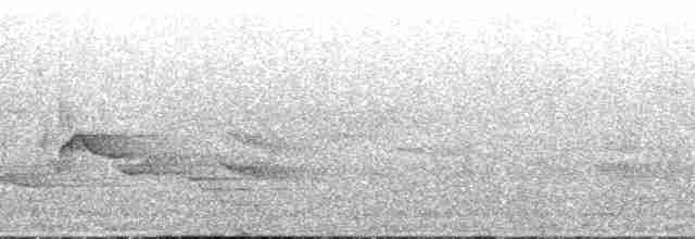 Сероголовый виреон - ML191089