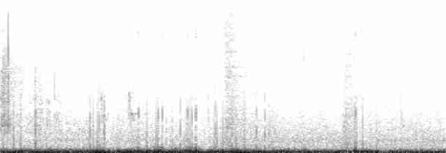 grånakkefjellfink (tephrocotis gr.) - ML191132431