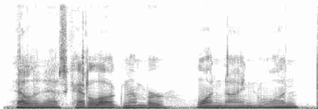 Приморская овсянка-барсучок - ML191270