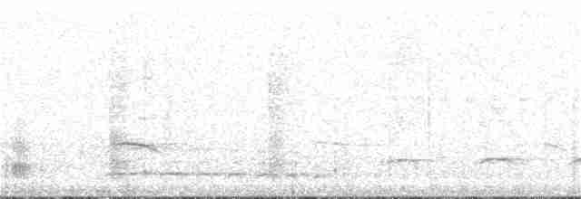 Шлемоносный дятел-гренадер - ML191343281