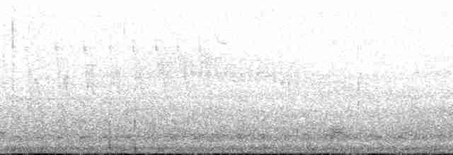 Белокрылый турпан - ML191346