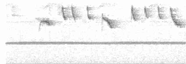 kolibřík pestrý - ML191363971