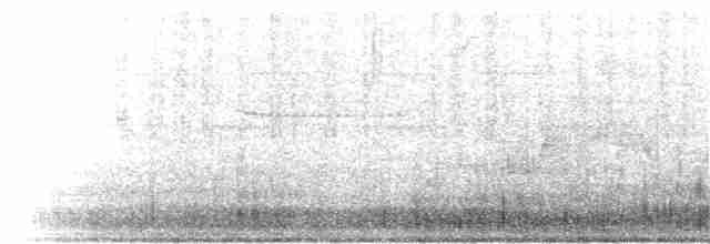 Small-billed Tinamou - ML191466721