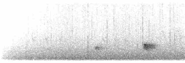Subantarctic Snipe - ML191471631