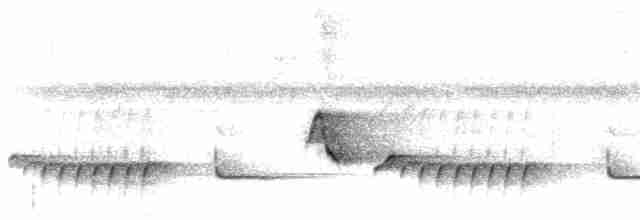Белокрылый крапивник - ML191478751