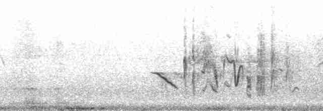 穗䳭(oenanthe/libanotica) - ML191492