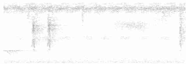 tykknebbedderkoppjeger - ML191520821