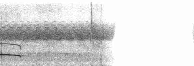 Copetón de Swainson - ML19153