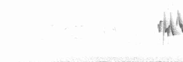 雙斑綠柳鶯 - ML191531131