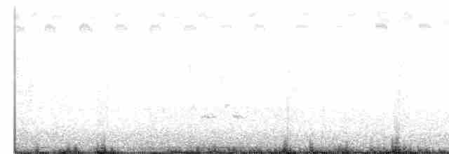 Loggerhead Shrike - ML191567861