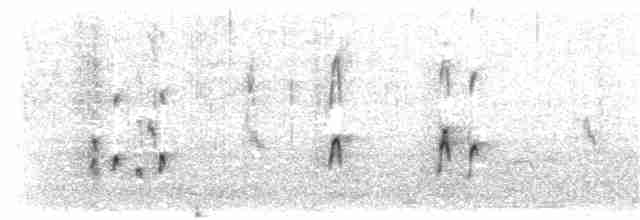 Американский бекасовидный веретенник - ML191627291