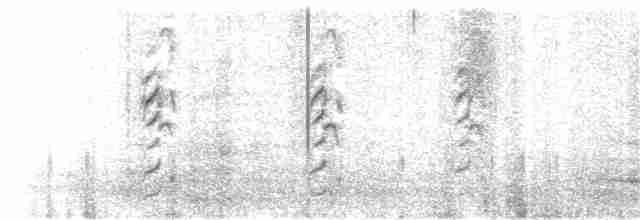 アカアシミツユビカモメ - ML191630061