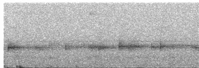 Gray Tinamou - ML191657081