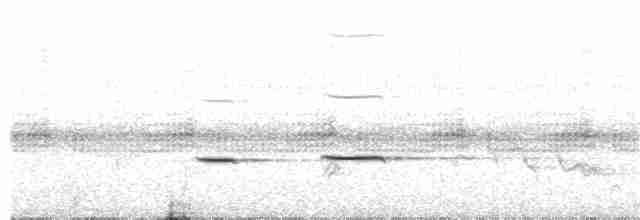 Striped Cuckoo - ML191693461