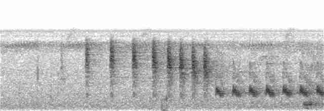 Microbate babillard - ML191768701