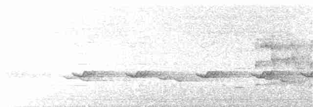 ostříž australský - ML191787411