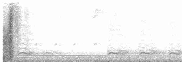 hvithodehavørn - ML191821261