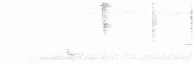 Колібрі-топаз малиновий - ML191836571