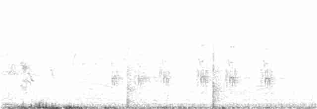 Ошейниковый зимородок - ML191850361