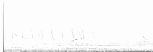 黑冠椋鳥 - ML191860481
