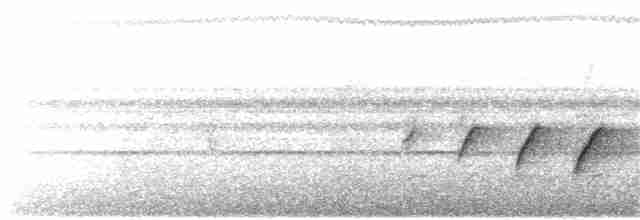 Карликовый личинкоед-свистун - ML191895871