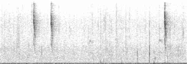 Pasifik Çıtkuşu - ML191902141