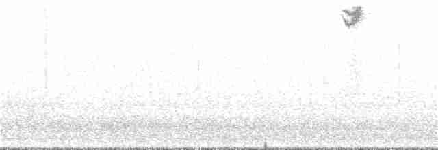 גיבתונית רוננת - ML191902341
