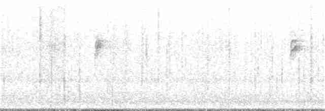 Bruant à gorge blanche - ML191902651
