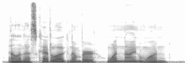 Бронзовый колибри-отшельник - ML191906