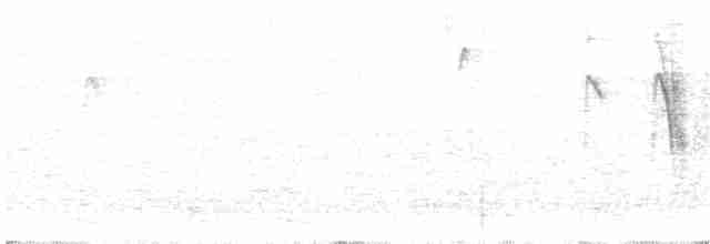 Kuzeyli Baştankara - ML191915601