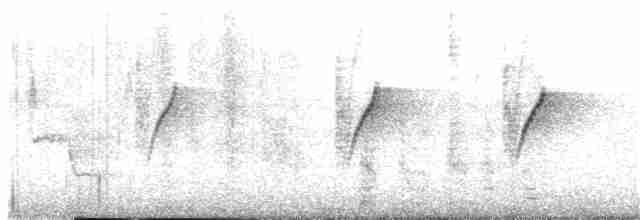 Атласная нектарница - ML191998461