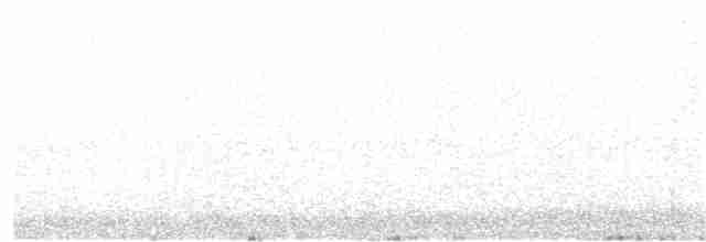 Long-billed Plover - ML192020691