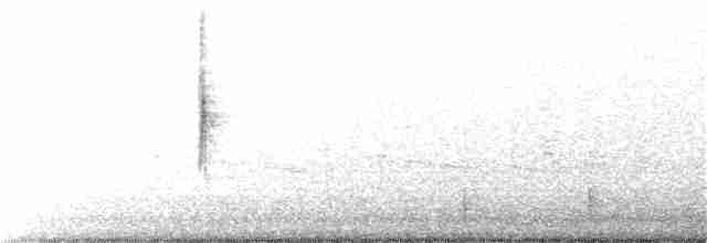 Paruline à croupion jaune (auduboni) - ML192091701