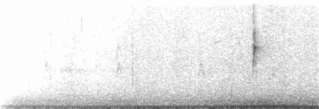 Пісняр-лісовик жовтогузий (підвид auduboni) - ML192091881