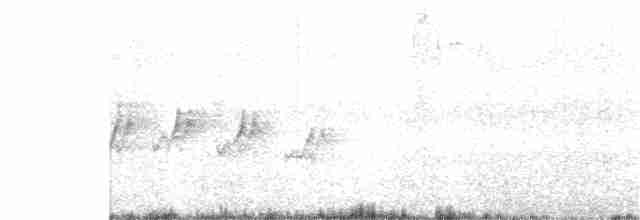Gray-crowned Yellowthroat - ML192117371