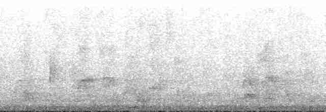 Pelagic Cormorant - ML192137