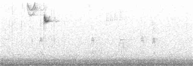 גיבתונית לבנת-גבה - ML192154541