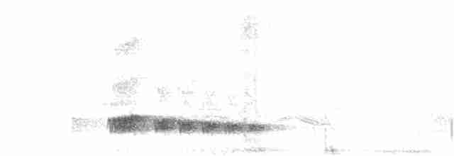 Скрытохвост татаупа - ML192190491
