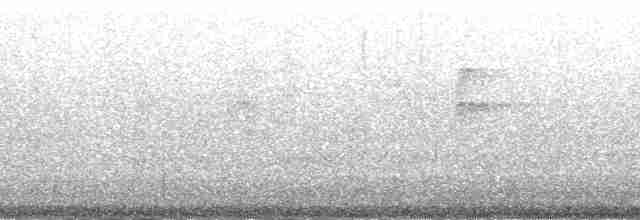 Kara Gagalı Koca Vireo - ML192277