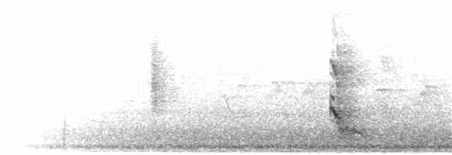 אנפית מנגרובים - ML192284051