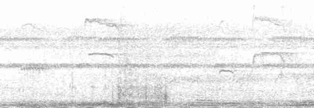 Mermer Desenli Yaprak Tiranı - ML192287