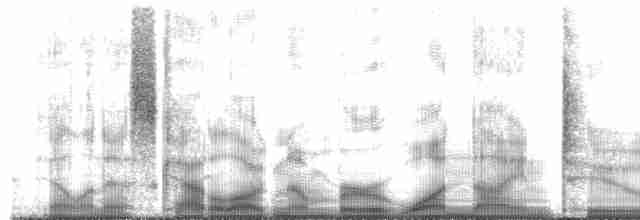 Toucanet à croupion rouge - ML192292