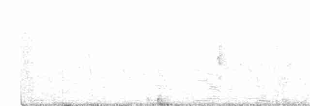 Тростниковая цистикола - ML192327141