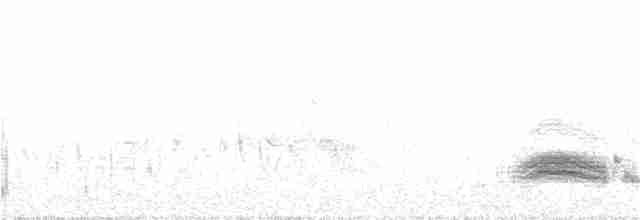 Серогрудый тиранн - ML192330971