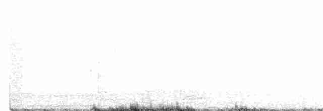 Белогорлый канареечник - ML192334631