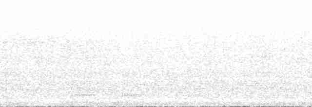 Тихоокеанский крапивник [группа pacificus] - ML192423